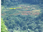 Dodital Trek, Uttarkashi, Agoda, Dodital, Chamba, Rishikesh